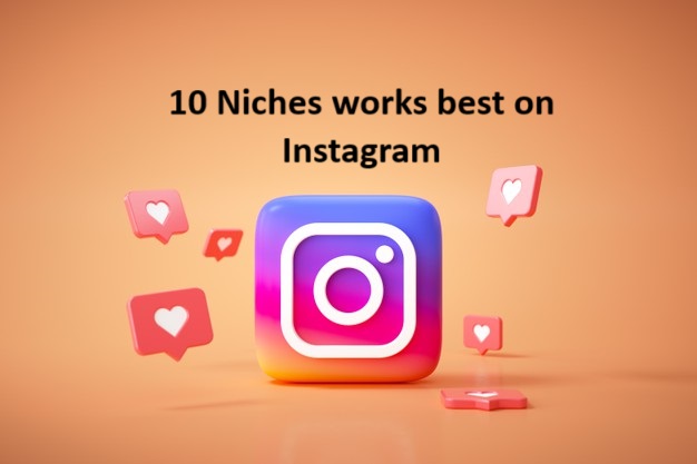 Navigating Instagram Success: 10 Lucrative Niches That Flourish with
                Instagram Followers Panel